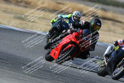 media/Oct-29-2023-Carters at The Track (Sun) [[b2bb4383ab]]/B Plus/1020am (Sunrise)/
